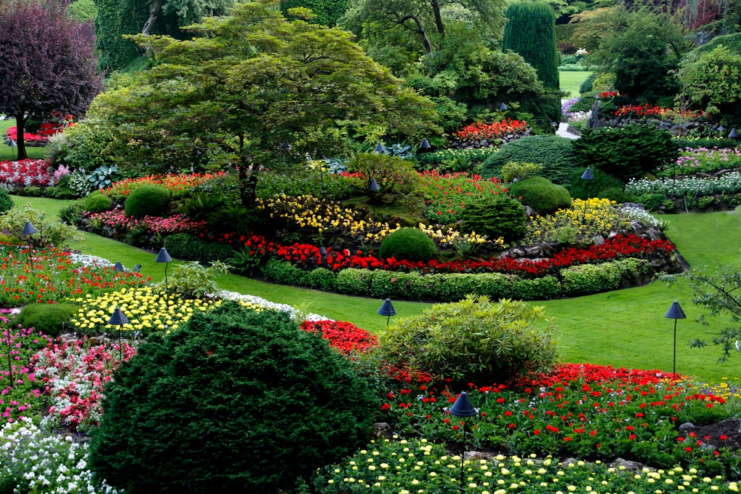Best website builder for lawn care in 2025